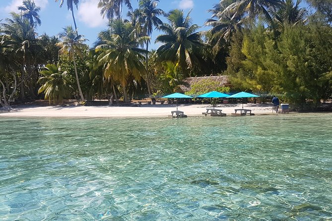 Authentic Polynesian Experience - Lunch on a motu with fish at your feet