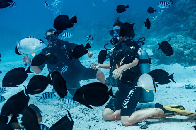 Baptism diving in the turquoise waters of Tahiti - Tahiti’s fish and the feeling of weightlessness