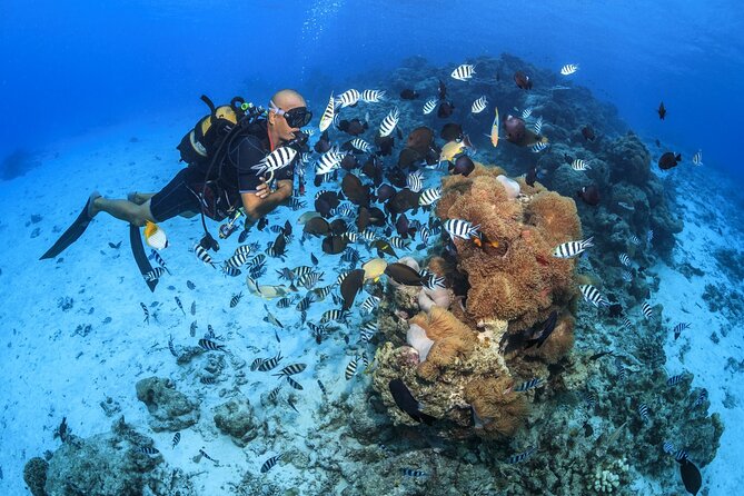 Baptism diving in the turquoise waters of Tahiti - What happens during the two-hour session