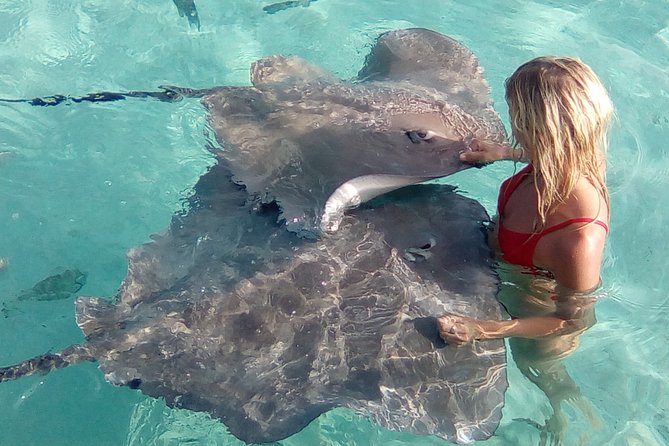 Best Way to Interact with Ocean Wildlife with Lunch. 6H - A private motu lunch worth building the day around