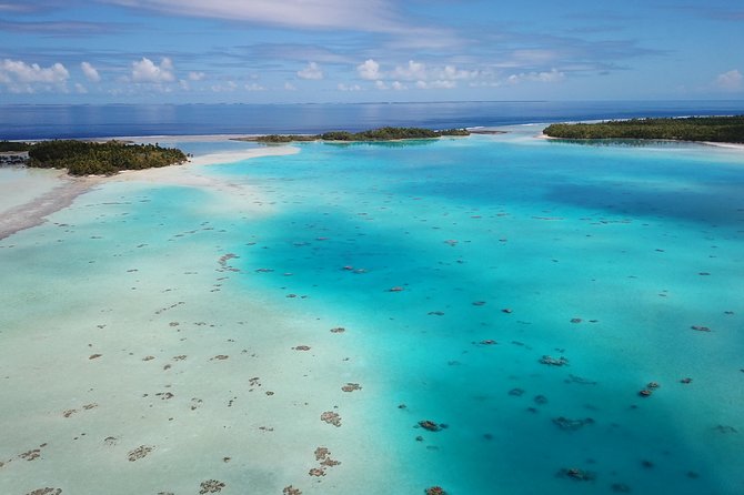 Blue lagoon private tour - The morning schedule, from hotel pickup to the shark nursery