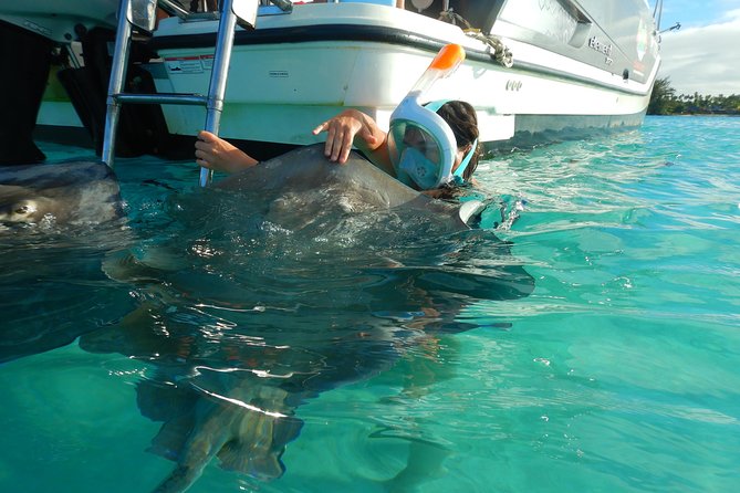 Boat tour 1/2 day Excursion in the lagoon of Moorea - Key points at a glance