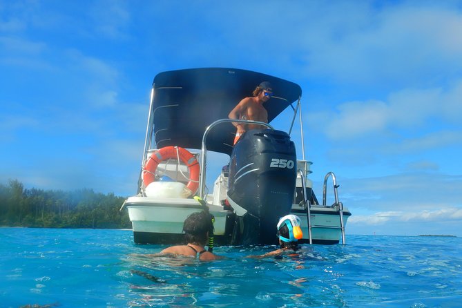 Boat tour 1/2 day Excursion in the lagoon of Moorea - The stingray and black-tip shark stop
