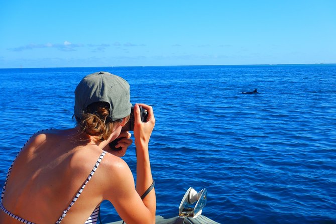Boat tour 1/2 day Excursion in the lagoon of Moorea - Guides, boats, and the feel of the outing