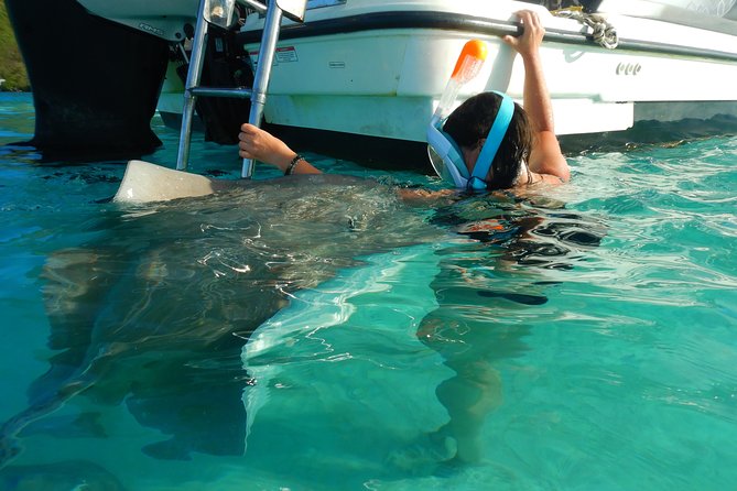 Boat tour 1/2 day Excursion in the lagoon of Moorea - Is the $121.46 price good value?