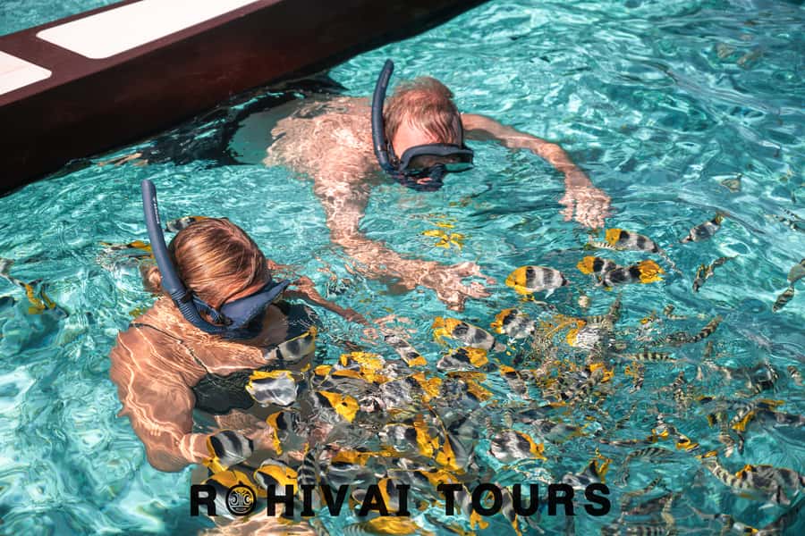 Bora Bora: 1/2 day lagoon safari - Shared tour - Why this lagoon safari is worth your half day