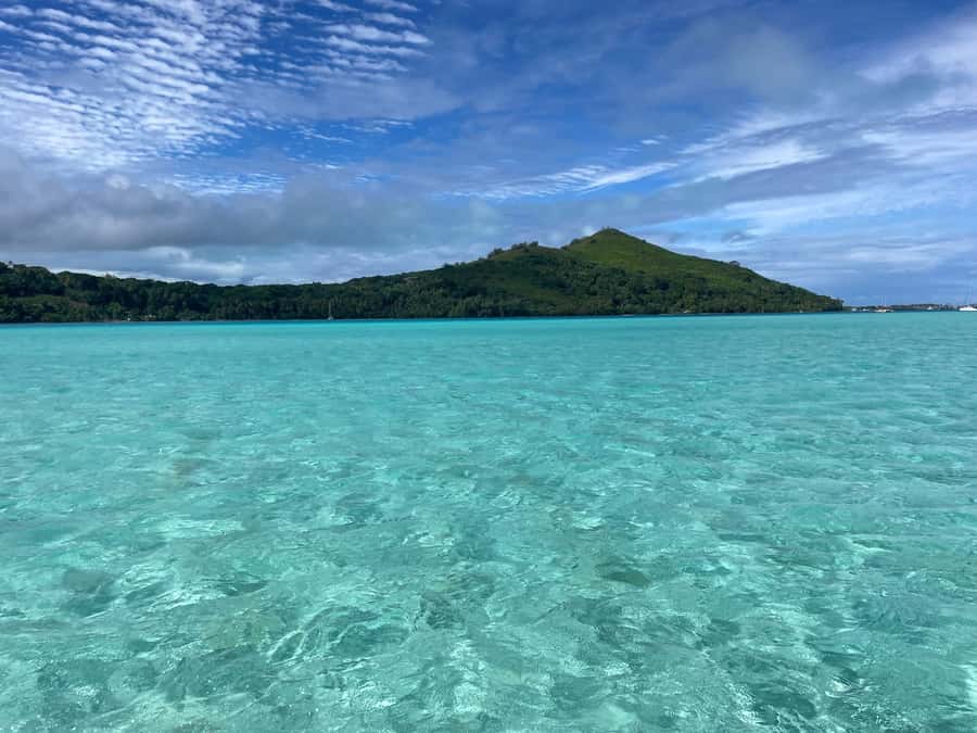 Bora Bora: 1/2 day lagoon safari - Shared tour - What the $117 price includes