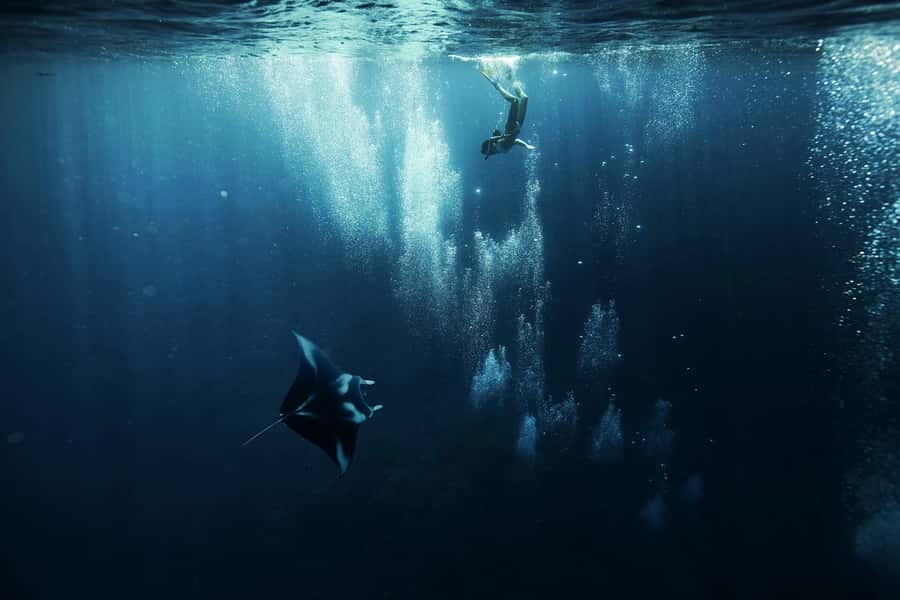 Bora Bora: 3.5-Hour Lagoon Boat Tour with Snorkeling - The Manta Ray Feeding Ground Comes First