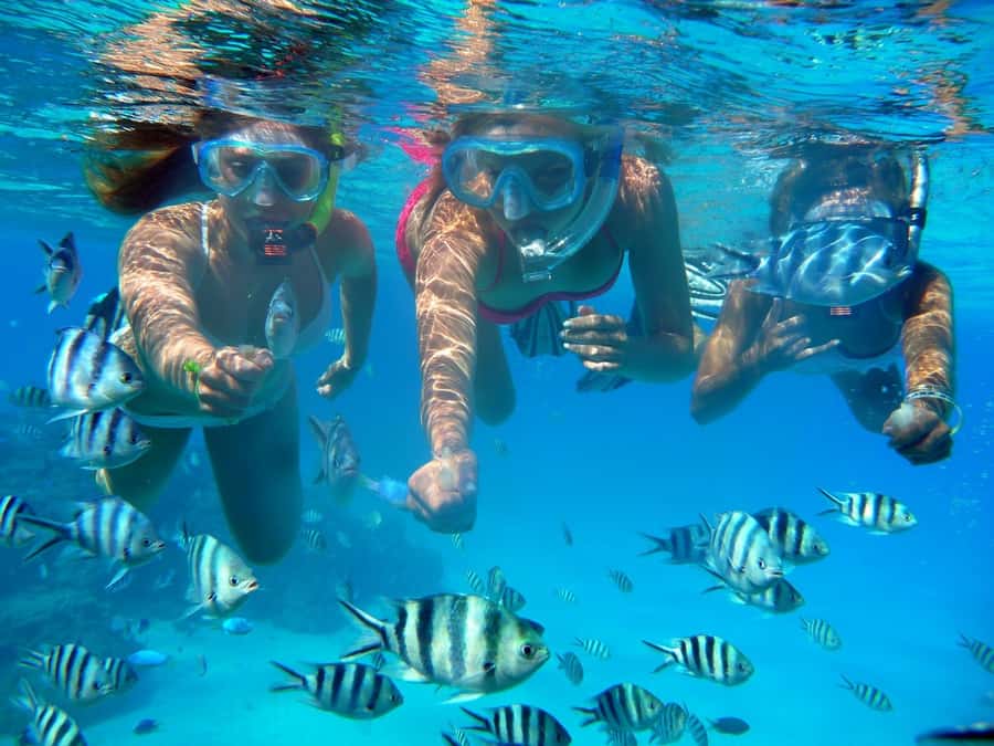 Bora Bora: 3.5-Hour Lagoon Boat Tour with Snorkeling - What the Boat Ride Adds