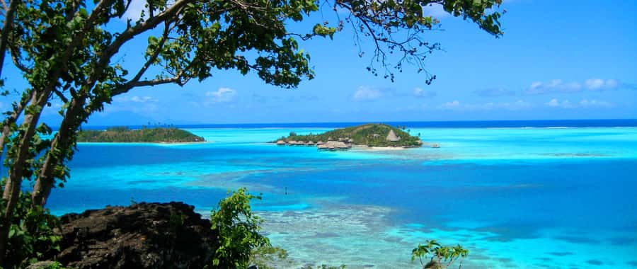 Bora Bora: 4x4 Safari with Snorkelling Combo Tour - The coral garden and colorful fish