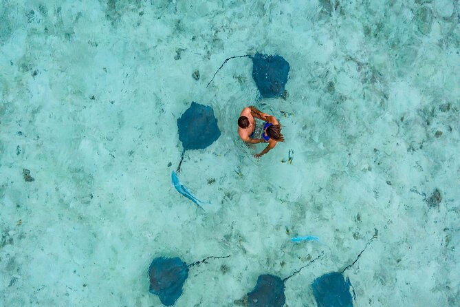 Bora Bora adventure Private Combo Jet Ski and Eco Sharks Snorkel - Morning jet ski ride around Bora Bora