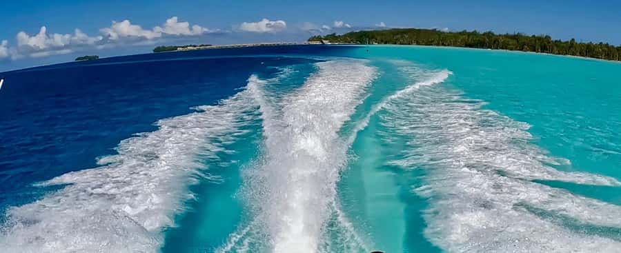 Bora Bora: Blue Lagoon Cruise, Snorkeling and Lunch . - Coral gardens and tropical fish below the boat