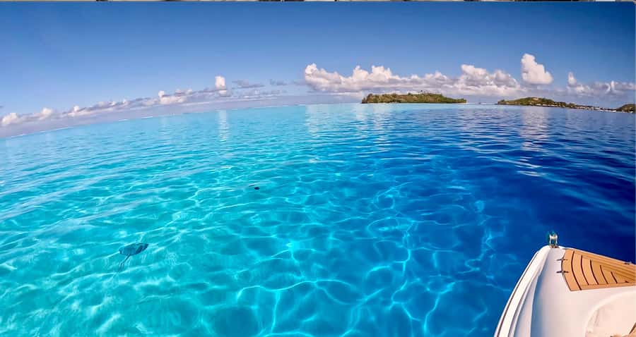 Bora Bora: Blue Lagoon Cruise, Snorkeling and Lunch . - Who will enjoy this Bora Bora cruise