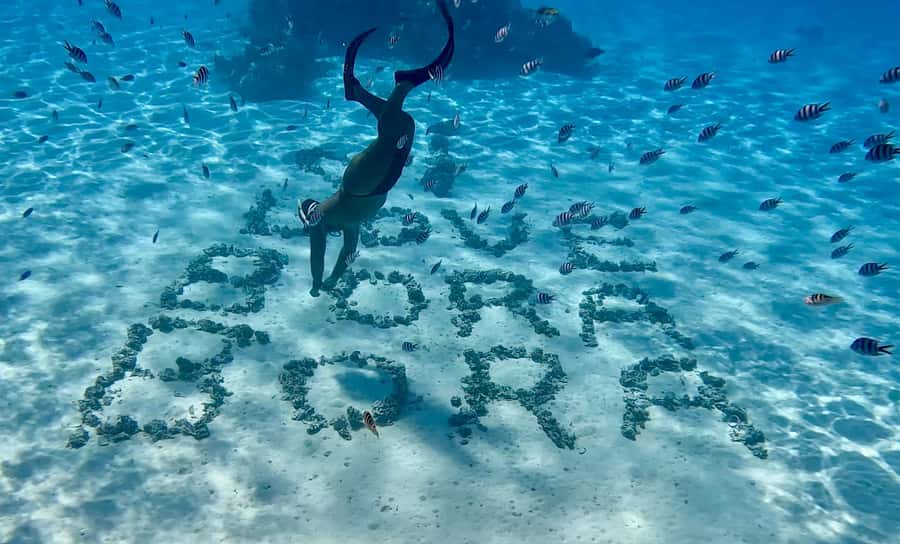 Bora Bora: Blue Lagoon Cruise, Snorkeling and Lunch . - Practical details that affect your decision