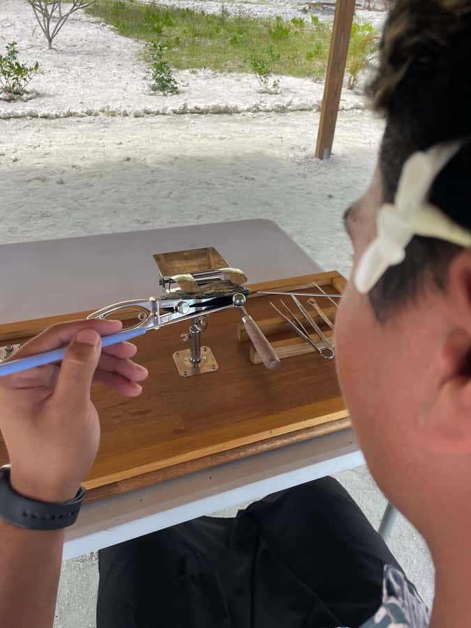 Bora Bora: Discovering the Tahitian black pearl ! - Key points to know before booking