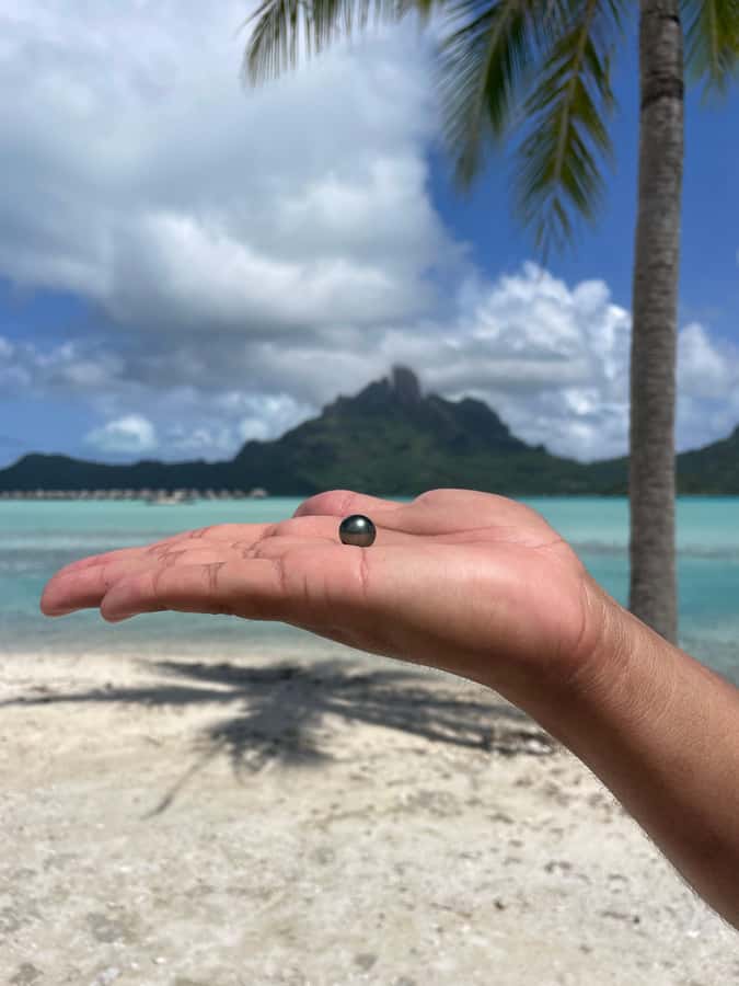 Bora Bora: Discovering the Tahitian black pearl ! - Why this pearl experience feels different
