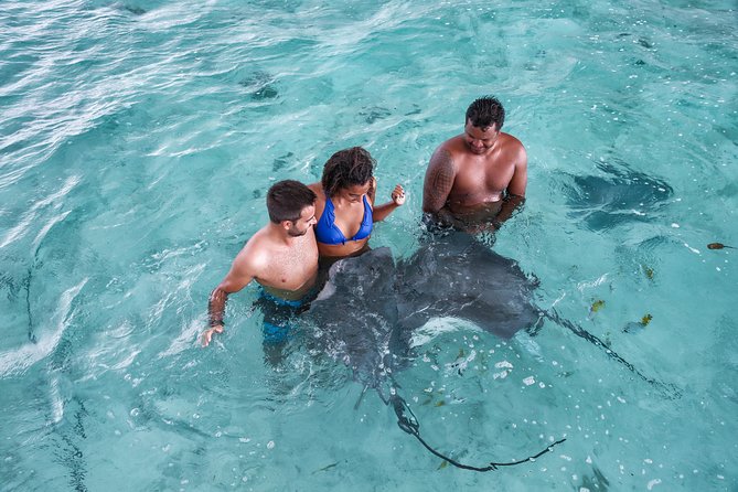 Bora Bora Eco Snorkel Cruise Including Snorkeling with Sharks and Stingrays - Key points at a glance