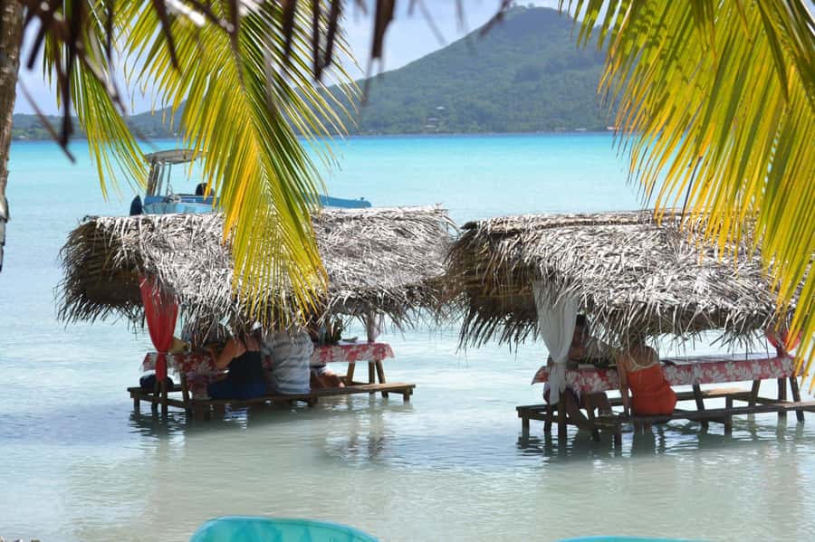 Bora Bora: Full-Day Lagoon Snorkelling Tour - Black-Tip Sharks and the Drama of the Lagoon
