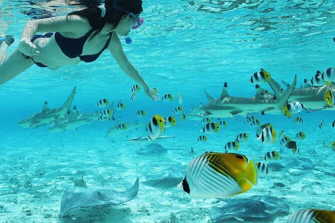 Bora Bora Full Day Snorkeling with Lunch - Who will enjoy this most?
