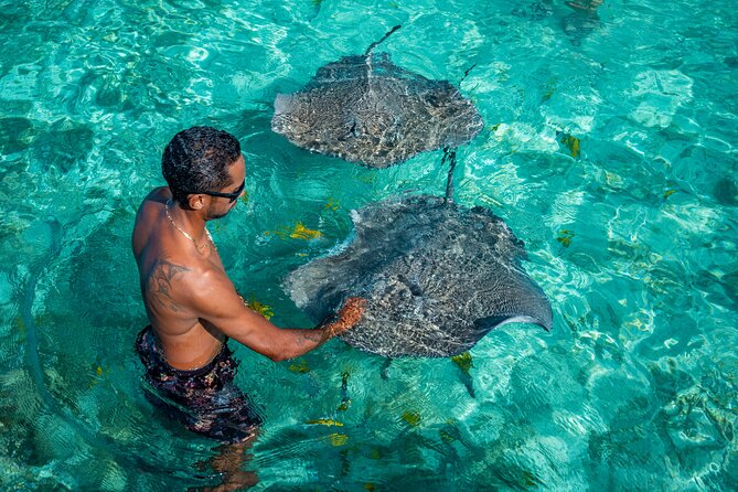 Bora Bora Full Day Snorkeling with Lunch - Shark and ray snorkeling in warm lagoon water