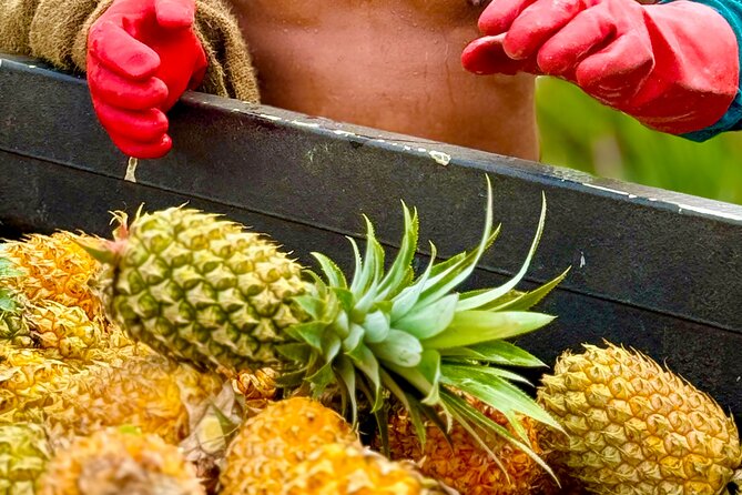 Bora Bora Gourmet Odyssey - Food Tour - Food gives Bora Bora a different voice