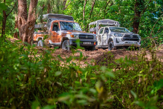 Bora Bora Half Day 4X4 Island Safari Tours - Why this 3.5-hour 4x4 safari shows you more of Bora Bora
