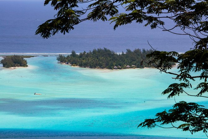 Bora Bora Half Day 4X4 Island Safari Tours - Who will enjoy this Bora Bora safari