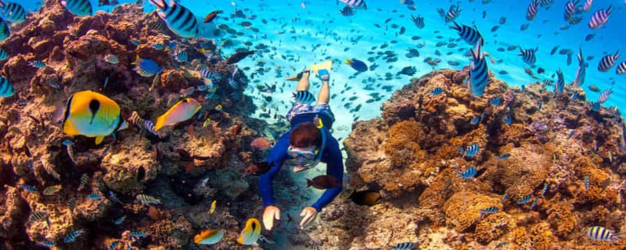 Bora Bora: Half Day Catamaran Sailing & Snorkelling - Paradise Bay and the floating bar
