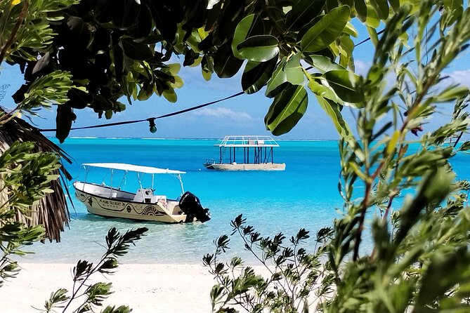 Bora Bora Half Day Snorkeling - Meeting point, pickup, and return details