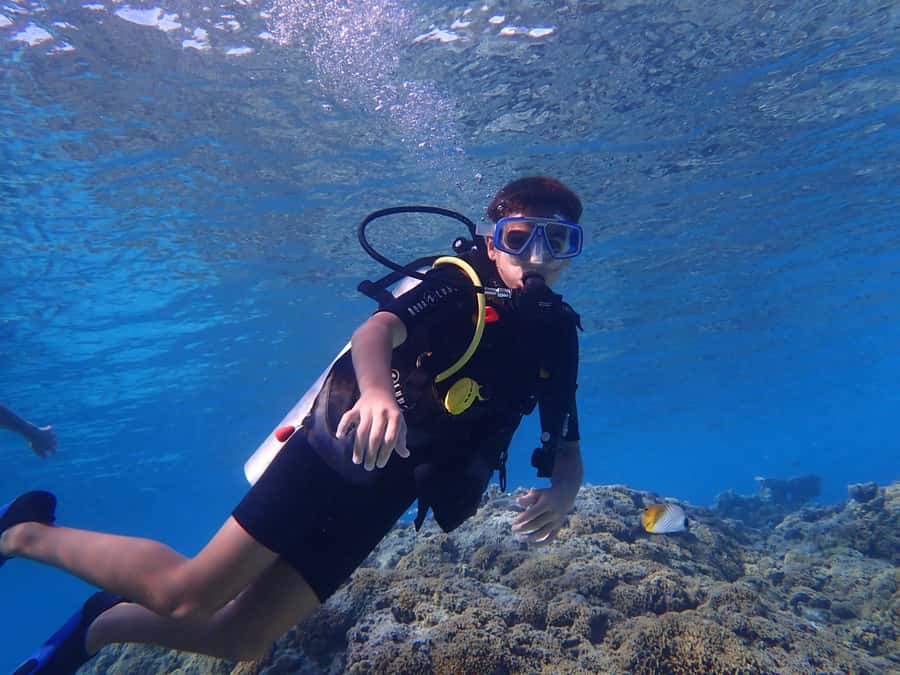 Bora Bora: Introductory Dive - Key Points for Your First Bora Bora Scuba Session