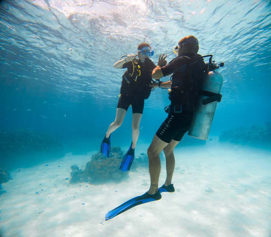Bora Bora: Introductory Dive - Why This Lagoon Session Works for Beginners