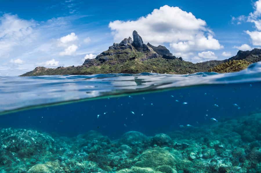 Bora Bora: Introductory Dive - The Flight Rule You Must Plan Around