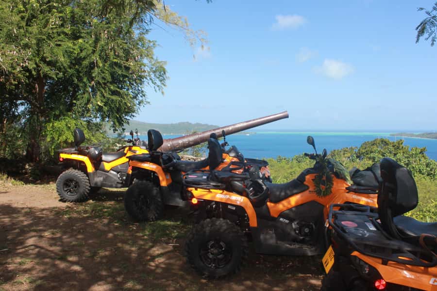 Bora Bora: Island Tour and Mountains Getaway by Quad Bike - Fruit tasting at a family-owned property