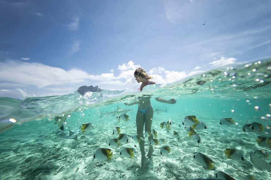 Bora Bora: Jet Ski, Lunch & Shark/ Ray Safari - Lunch at Bloody Mary’s near Matira Beach