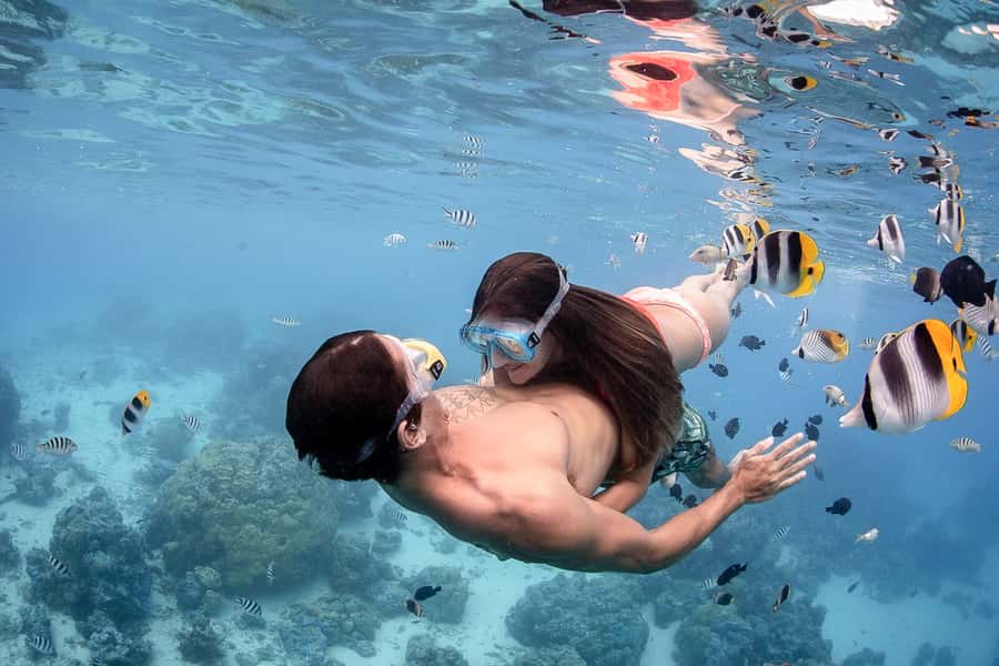 Bora Bora: Jet Ski, Lunch & Shark/ Ray Safari - Who should book this experience?