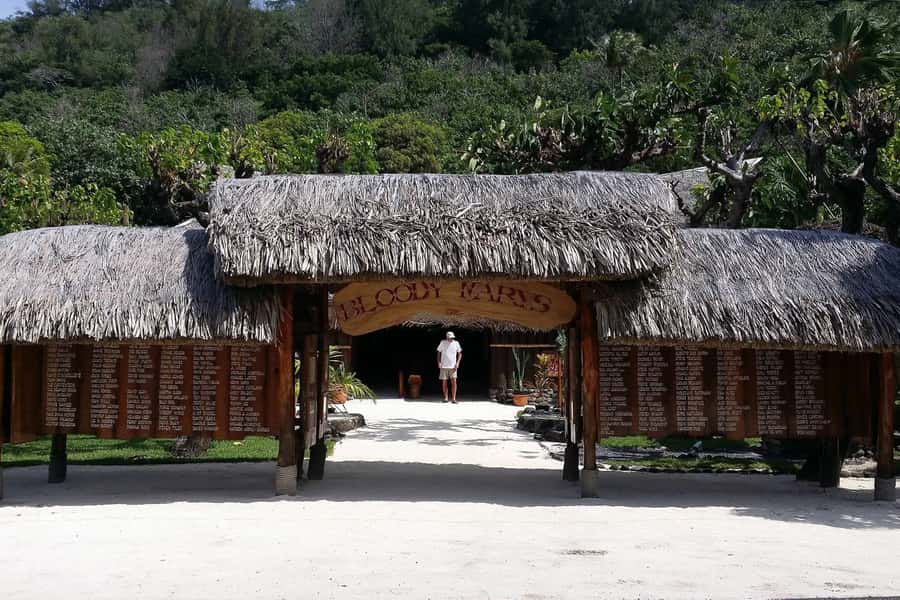 Bora Bora: Jet Ski, Lunch & Shark/ Ray Safari - Should you book it?