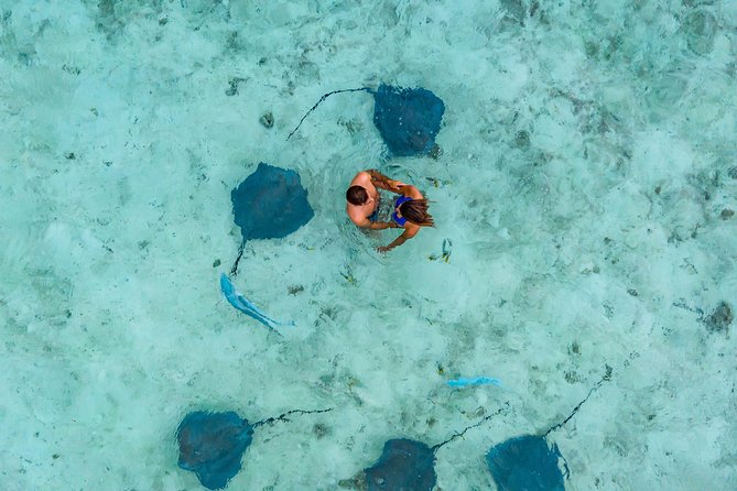 Bora Bora Jet Ski Tour, & Eco Shark / Ray Snorkel Cruise - What the Jet Ski ride feels like in real conditions