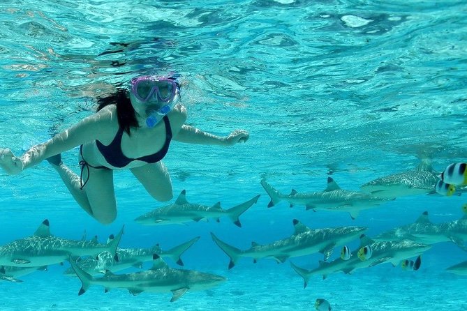 Bora Bora Jet Ski Tour, & Eco Shark / Ray Snorkel Cruise - Lunch at Lucky House, Fare Manuia