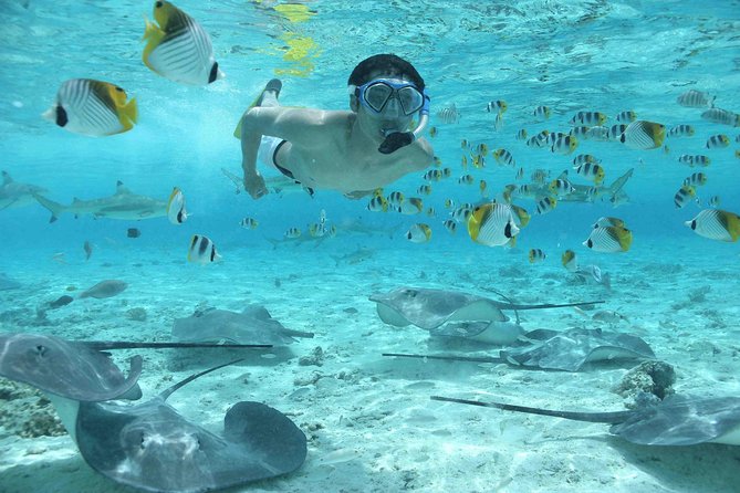 Bora Bora Jet Ski Tour, & Eco Shark / Ray Snorkel Cruise - Who should book this experience?