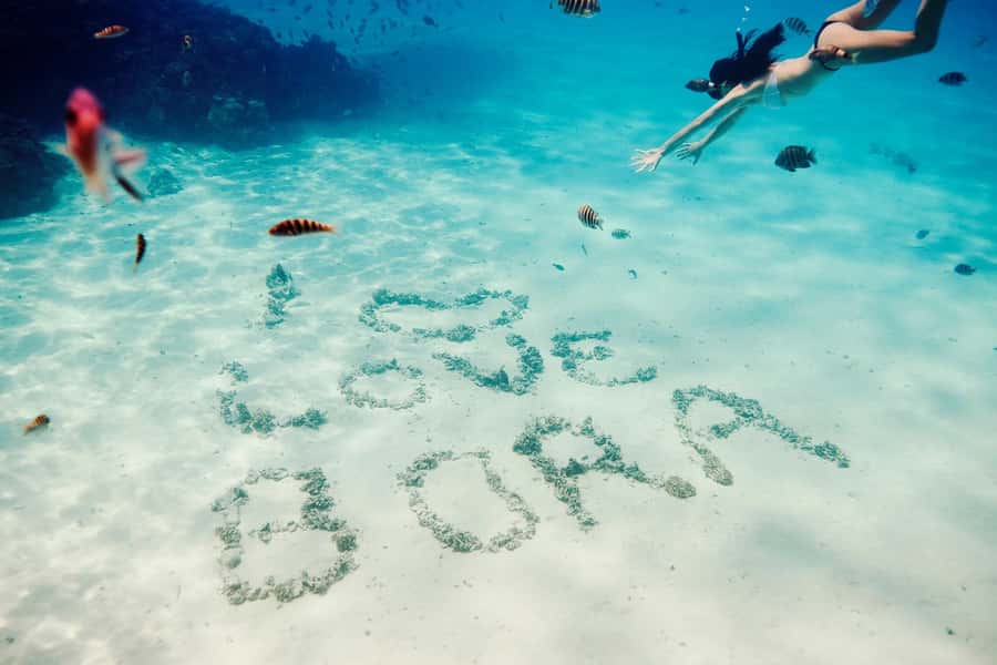 Bora Bora: Lagoon Tour and Snorkeling Experience - Key points to know before you book