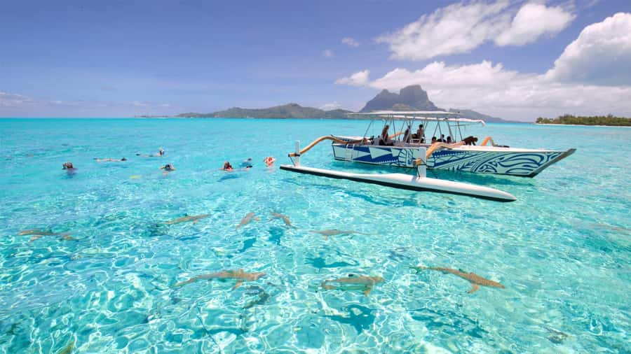Bora Bora: Lagoon Tour and Snorkeling Experience - Three lagoon stops, three different encounters