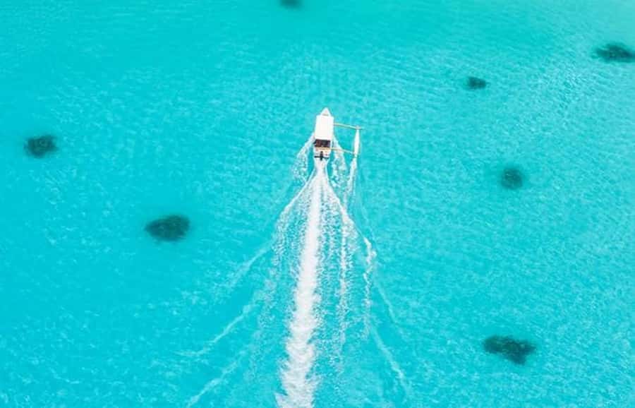 Bora Bora: Lagoon Tour and Snorkeling Experience - What the $138 price really includes