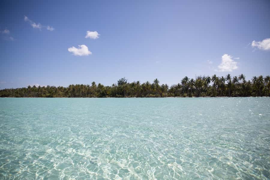 Bora Bora: Lagoon Tour and Snorkeling Experience - Practical details that will improve your morning