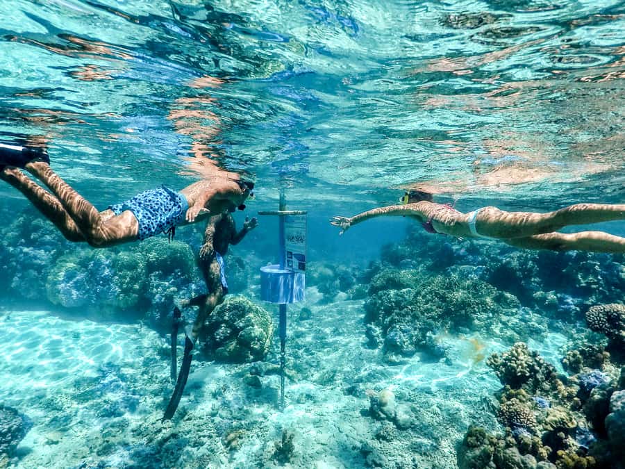 Bora Bora: Lagoon Tour and Snorkeling Experience - Should you book the Bora Bora lagoon tour?