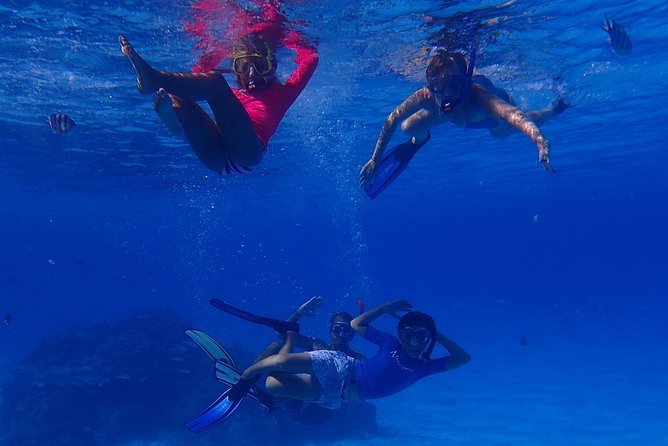 Bora Bora: Luxury Private Half Day Snorkeling Tour - Is $780 a fair price for Bora Bora?