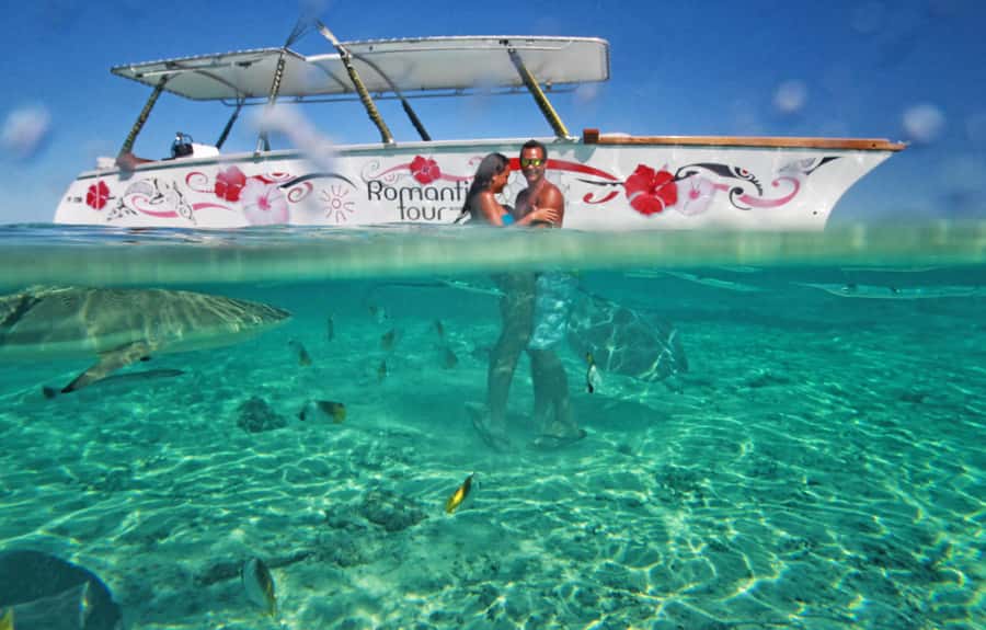 Bora Bora Luxury Tour and Beach Picnic - The coral garden and practical snorkeling help