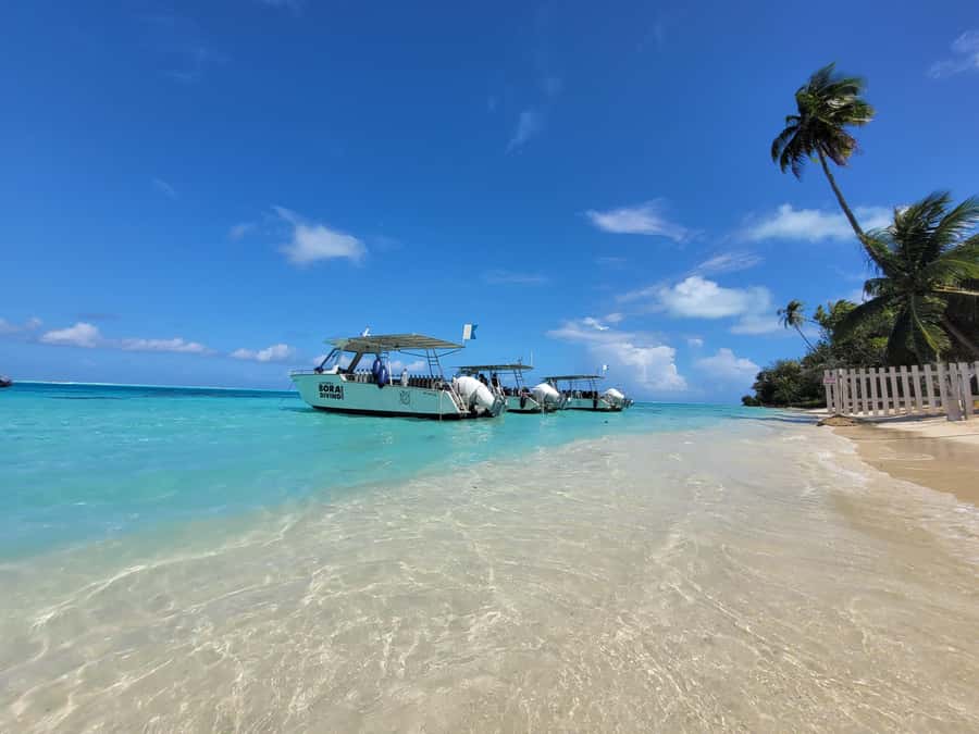 Bora Bora: Morning 2 tank dive for certified divers - The lagoon session and its ray potential