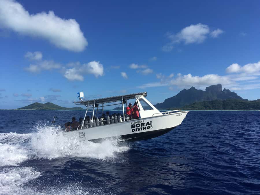 Bora Bora: Morning 2 tank dive for certified divers - Who should book this experience