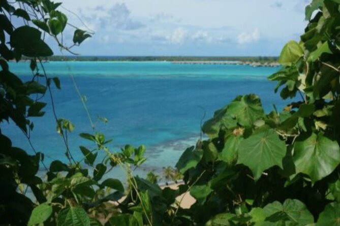 Bora Bora Off-Road Sightseeing Tour - Price and value at $148.94 per person
