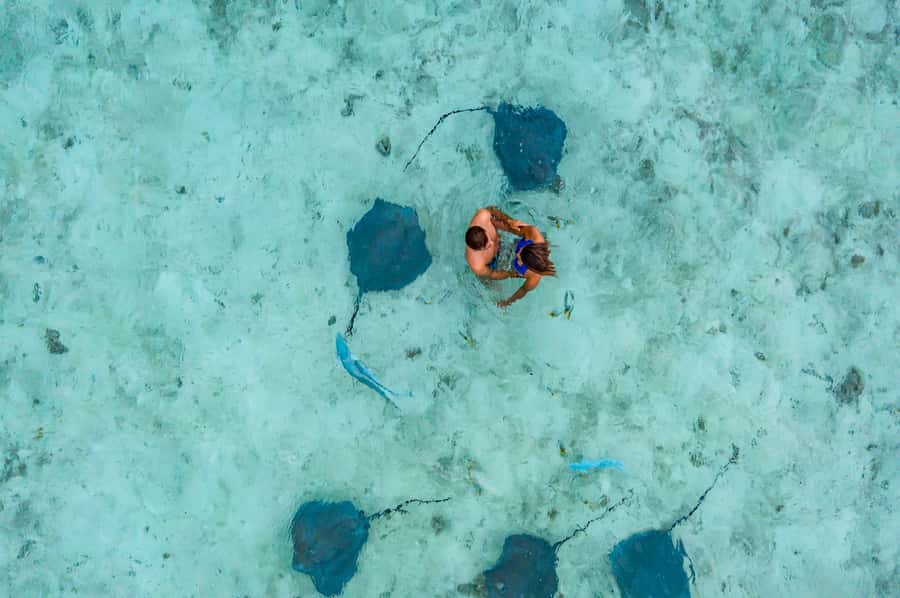 Bora Bora: Private Boat Tour with Snorkeling and Drinks - Coral gardens and clear-water snorkeling